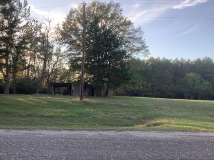 Undeveloped Land in Panola County, Texas