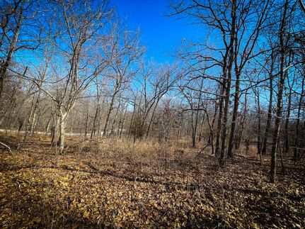 Homesite in Benton County, Missouri