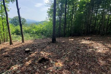 Undeveloped Land in Wilkes County, North Carolina