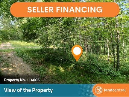 Undeveloped Land in Crow Wing County, Minnesota