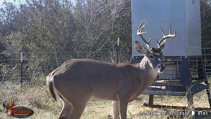 Farm and Ranch in Duval County, Texas