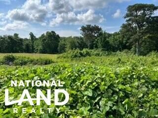 Recreational Property in Cherokee County, Alabama