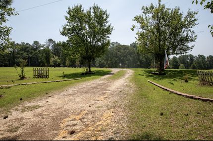 Timberland Property in Newton County, Mississippi