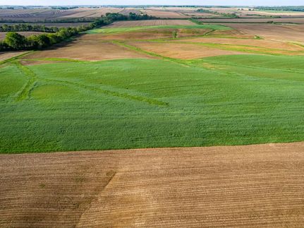 Undeveloped Land in Mercer County, Illinois
