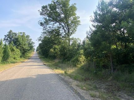 Undeveloped Land in Lafayette County, Arkansas