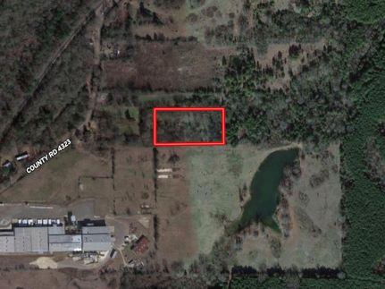 Timberland Property in Morris County, Texas