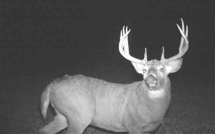 House in Carlton County, Minnesota