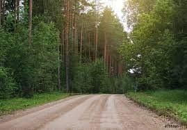 Land for sale in Putnam County, Florida