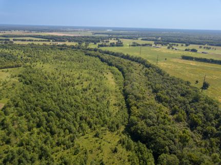 Undeveloped Land in Bowie County, Texas