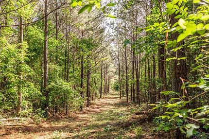 Recreational Property in Cass County, Texas