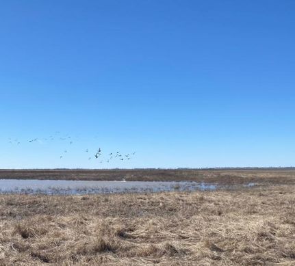 Land in New Madrid County, Missouri