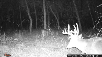 Hunting Property in Choctaw County, Oklahoma