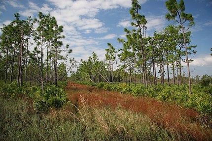 Lakefront Property in Highlands County, Florida