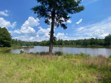 Farm and Ranch in Macon County, Alabama