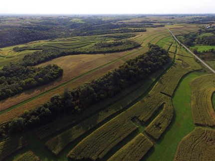 Timberland Property in Grant County, Wisconsin