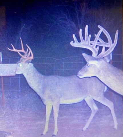 Recreational Property in Hall County, Texas