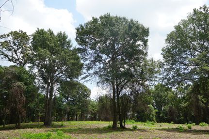 Recreational Property in Autauga County, Alabama