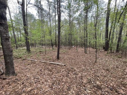 Recreational Property in Elmore County, Alabama