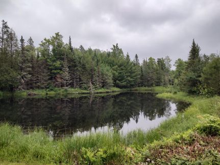 Undeveloped Land in Marquette County, Michigan