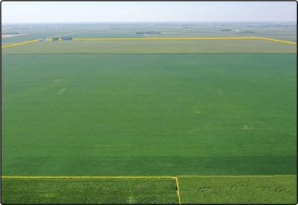 Farm and Ranch in Palo Alto County, Iowa