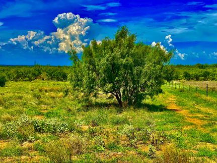 Farm and Ranch in Atascosa County, Texas