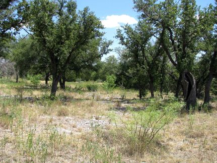 Land in Hamilton County, Texas
