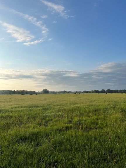 Land in Bowie County, Texas