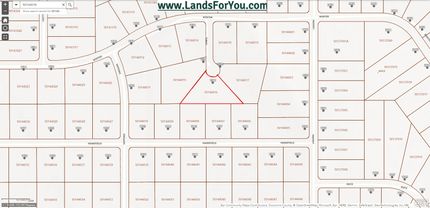 Timberland Property in Coconino County, Arizona