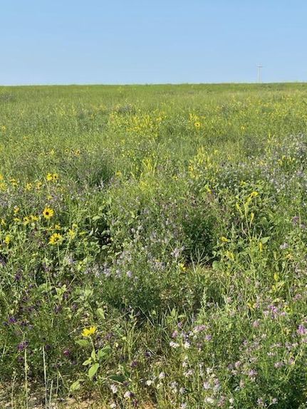 Farm and Ranch in Rosebud County, Montana