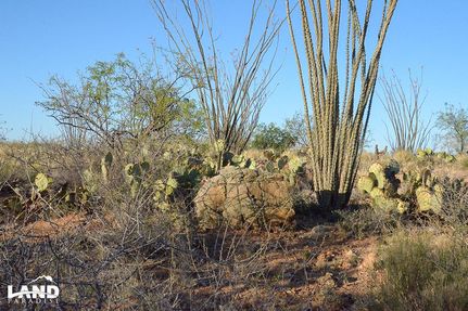Farm and Ranch in Pima County, Arizona