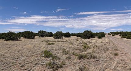 Lakefront Property in Apache County, Arizona