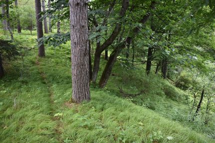 Recreational Property in Florence County, Wisconsin