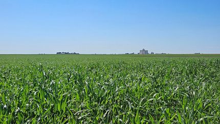 Farm and Ranch in Phillips County, Colorado