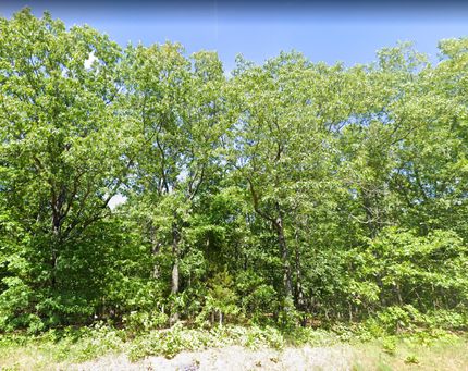 Land in Texas County, Missouri