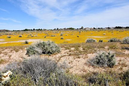 Undeveloped Land in Kern County, California