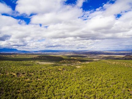 Undeveloped Land in Montezuma County, Colorado