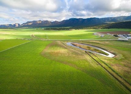 Farm and Ranch in Montrose County, Colorado