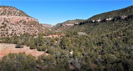 Undeveloped Land in San Miguel County, New Mexico