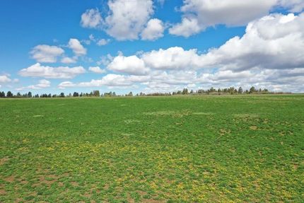 Undeveloped Land in Montrose County, Colorado