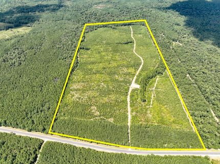 Undeveloped Land in Hardin County, Texas