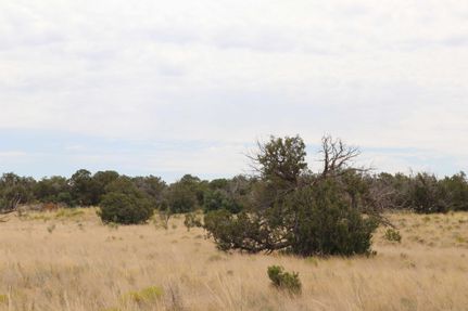 Farm and Ranch in Apache County, Arizona
