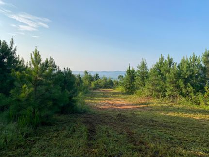 Farm and Ranch in Tuscaloosa County, Alabama
