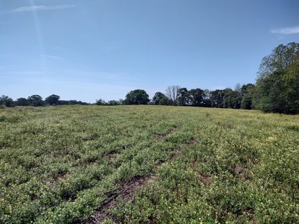 Recreational Property in Coffee County, Alabama