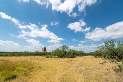 Land in Webb County, Texas