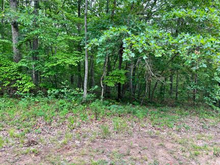 Undeveloped Land in Benton County, Missouri