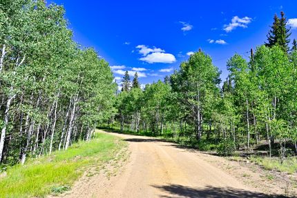 Undeveloped Land in Park County, Colorado