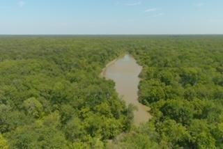 Timberland Property in Red River County, Texas