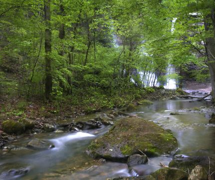Undeveloped Land in Benton County, Missouri