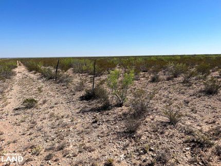 Timberland Property in Pecos County, Texas