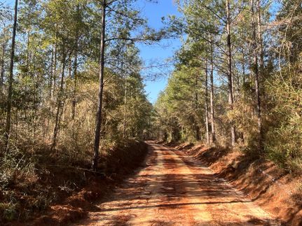 Land in Holmes County, Florida